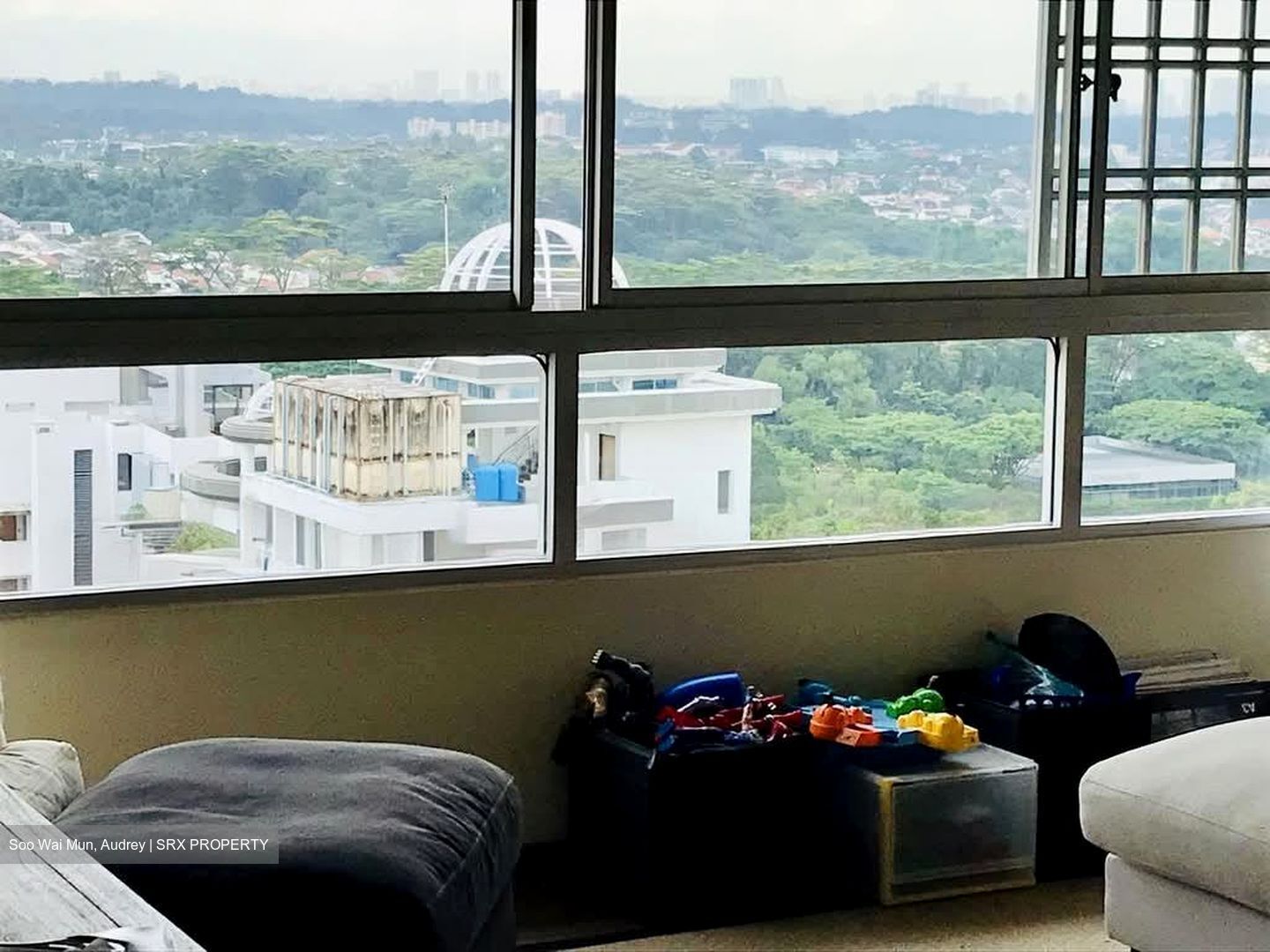 Ridgewood (D10), Condominium #557976761